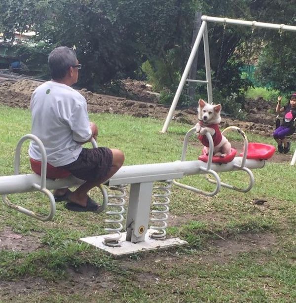 forever alone pics - swing