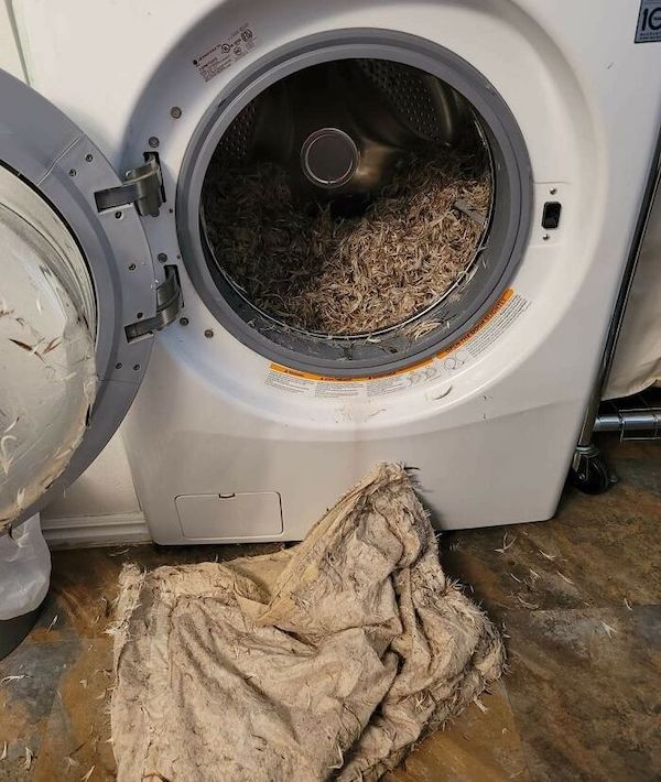 people having a terrible day - washing machine - Ic 3.