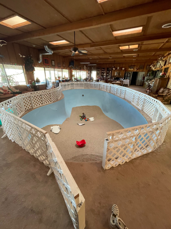 22 Things That Are Pretty Cool.