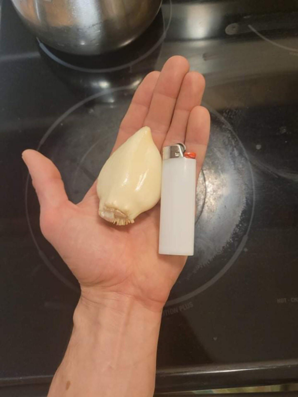 22 Things That Are Pretty Cool.