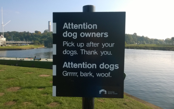 22 Things That Are Pretty Cool.