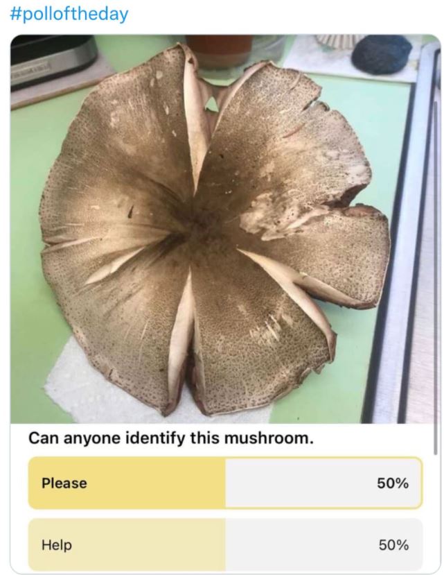 35 WTF Posts From The Nextdoor App.