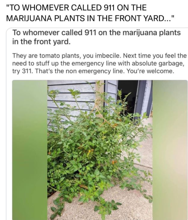 35 WTF Posts From The Nextdoor App.