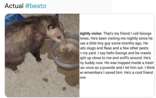 35 WTF Posts From The Nextdoor App.