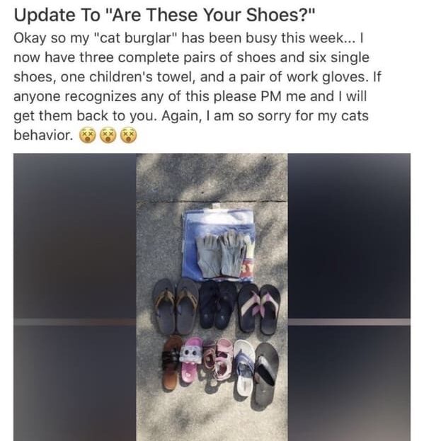 35 WTF Posts From The Nextdoor App.