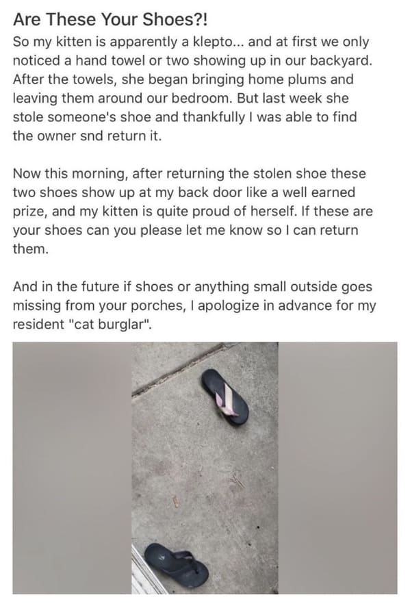 35 WTF Posts From The Nextdoor App.