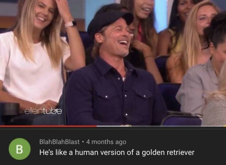 funny comments -  He's a human version of a golden retriever