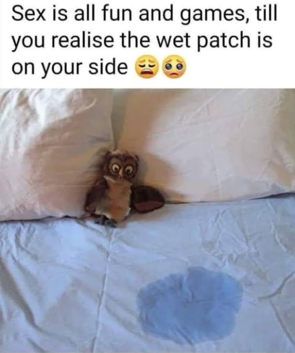 34 Sex Memes Too Dirty For Daytime.