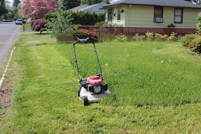 Ran a lawn mowing service. New customer asks about the process.

"Do you come to my house to mow it?"

No. We pick it up and haul it to our special mowing center then bring it back.