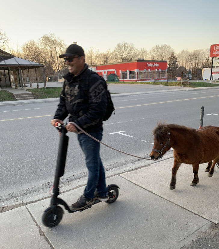 ’’I saw this dude walking his pony on an electric scooter.’’