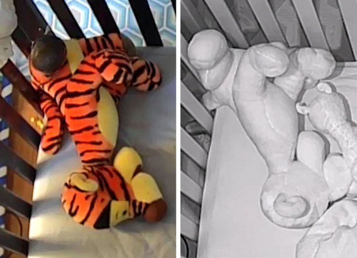 “My daughter’s tiger has distinct bright and dark stripes in normal light, but is entirely pale white in night vision.”