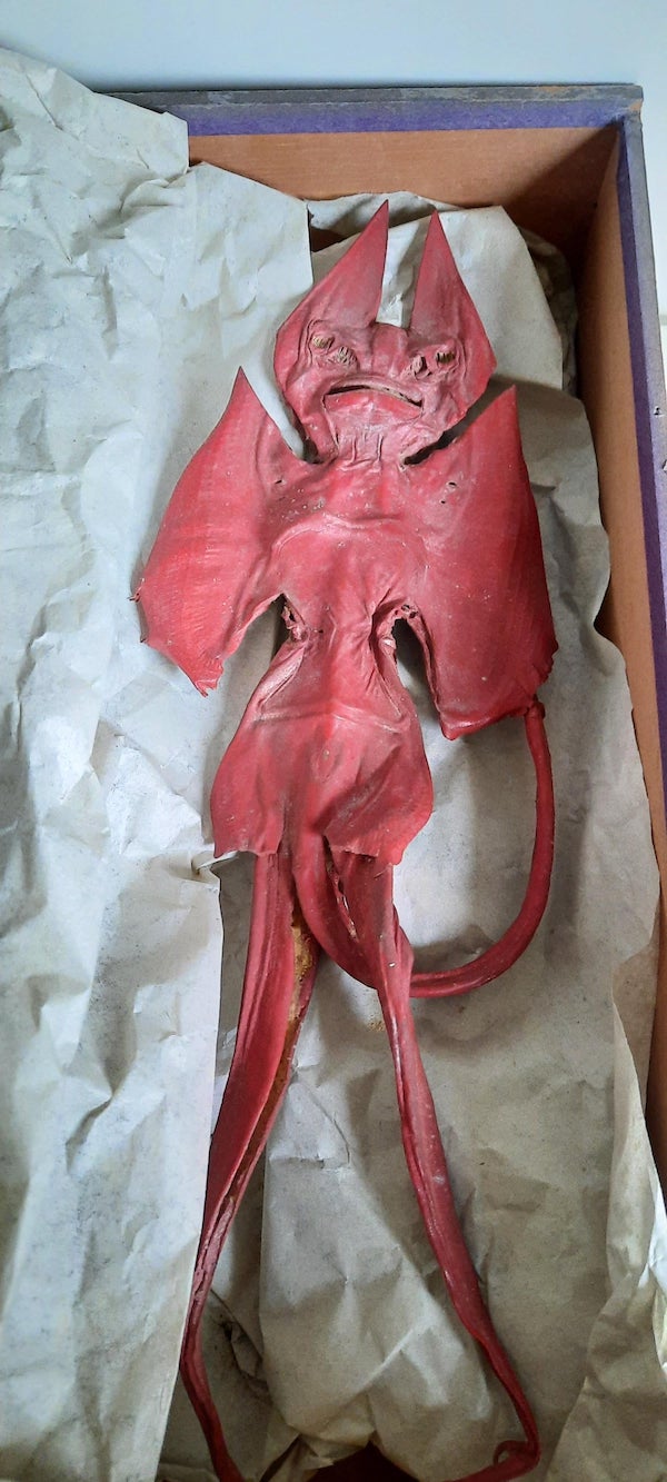 What is this red leather devil figure, found in a wooden box in an attic?

A: Turns out one of the weirder ways skates and rays have been used by people is as curiosities. These cartilaginous fish, related to sharks, were flipped over and “shaped” into gruesome likenesses of imagined sea devils or maybe evil-looking mermaids. After being dried out and shellacked they were sold in port cities and seaside towns as far back as the 16th century. The origins of the name are obscure, but some articles reference jeune fille d’Anvers which translates as girl from Antwerp. Intentionally fishing and drying out sea creatures as tourist trinkets, whether sea stars, sea horses or Jenny Hanivers, has fortunately fallen out of fashion. But beach combing is still a great way to come upon all sorts of interesting bits and pieces brought in on the tide and tossed ashore by a wave to dry in the sun.
