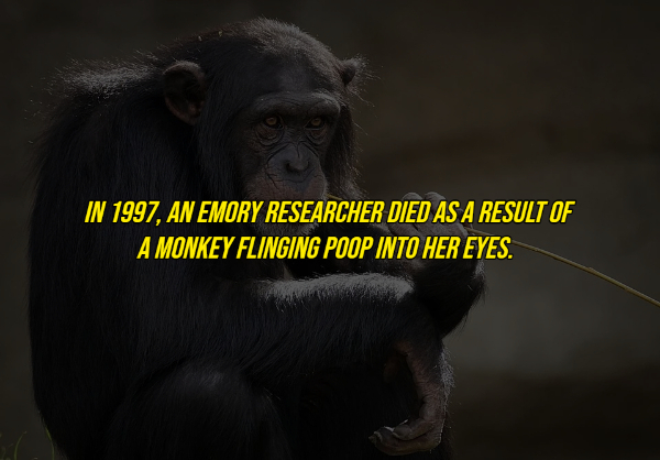 17 Useless Facts To Blow Your Mind.