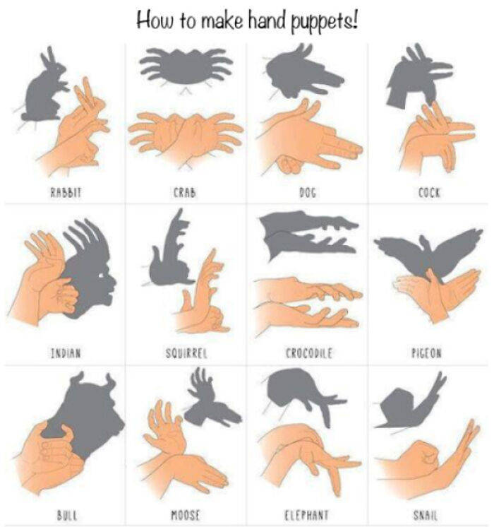 hand shadow puppets - How to make hand puppets! A Rabbit Crab Dog Cock Indian Squirrel Crocodile Pigeon Boll Moose Elephant Skall