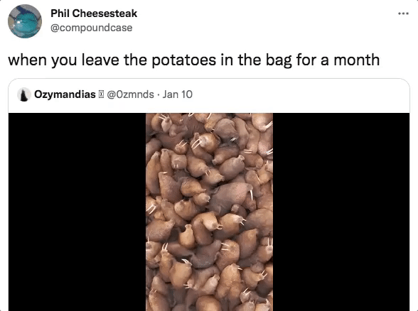 twitter memes - Phil Cheesesteak when you leave the potatoes in the bag for a month Ozymandias . Jan 10