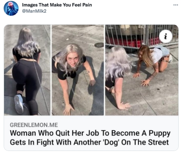 twitter memes - photo caption - .. Images That Make You Feel Pain Milk2 N Greenlemon.Me Woman Who Quit Her Job To Become A Puppy Gets In Fight With Another 'Dog' On The Street