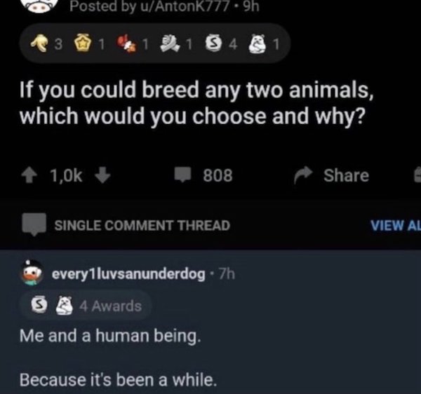 horny jail memes - screenshot - Posted by uAntonk777.9h 3 9.1 41 If you could breed any two animals, which would you choose and why? 808 Single Comment Thread View Al everylluvsanunderdog .7h S 4 Awards Me and a human being. Because it's been a while.