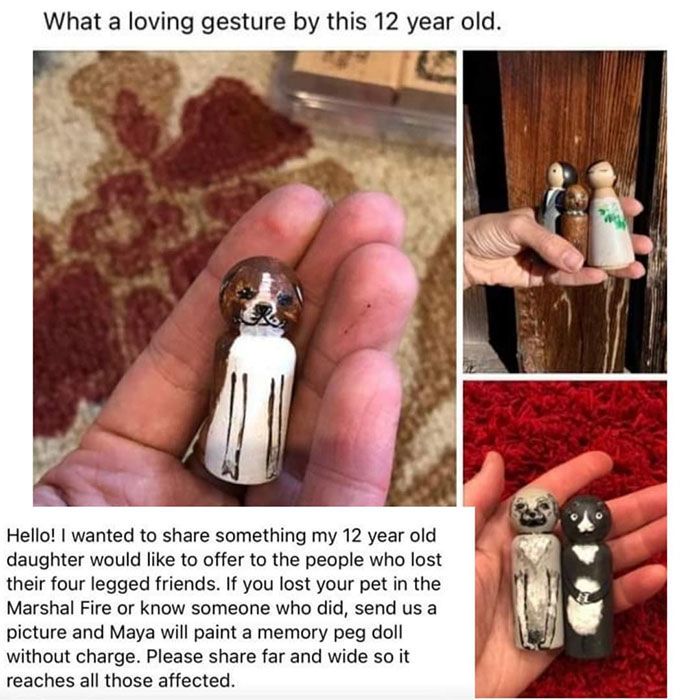 wholesome pics and memes - ring - What a loving gesture by this 12 year old. Hello! I wanted to something my 12 year old daughter would to offer to the people who lost their four legged friends. If you lost your pet in the Marshal Fire or know someone who