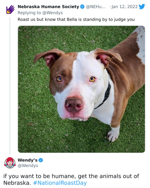 savage wendys roasts - dog - Nebraska Humane Society ... Roast us but know that Bella is standing by to judge you Wendy's if you want to be humane, get the animals out of Nebraska.