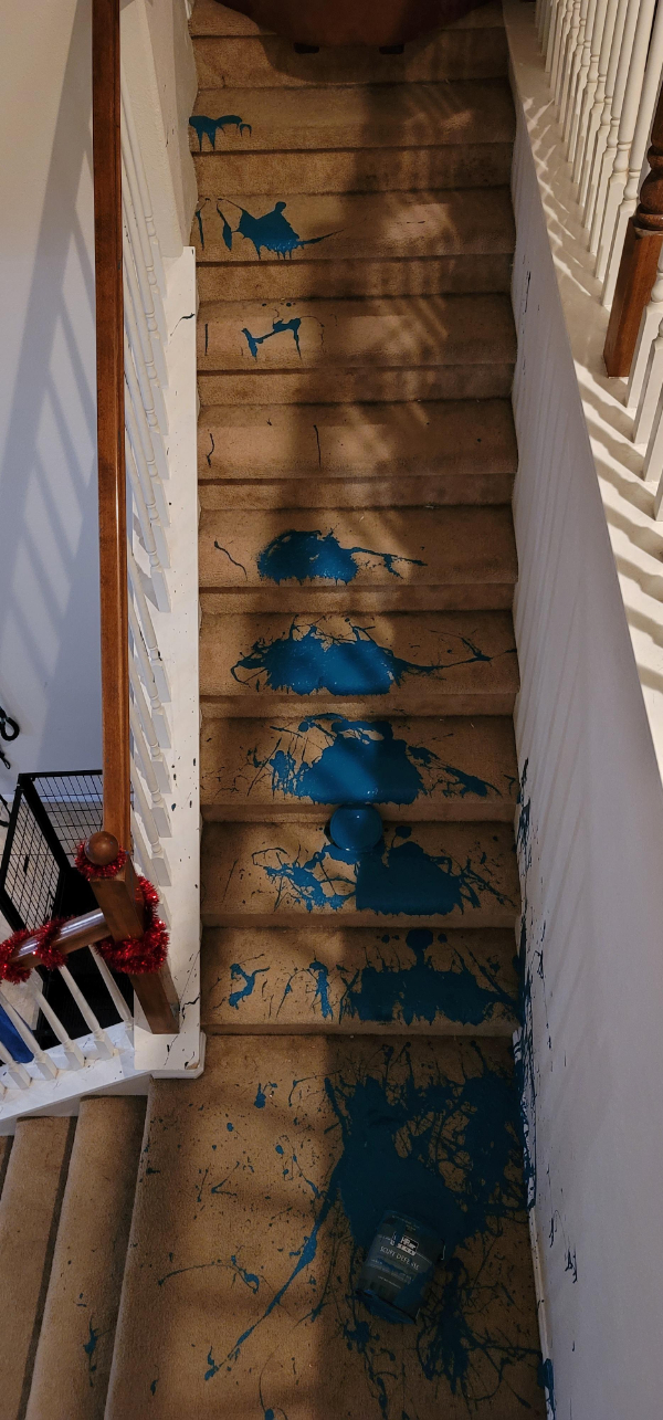 “Dropped a 1/2 gallon of paint down the stairs.”