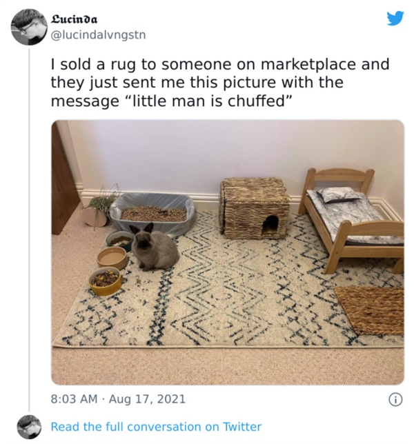 little man is chuffed - Lucinda I sold a rug to someone on marketplace and they just sent me this picture with the message "little man is chuffed" Read the full conversation on Twitter