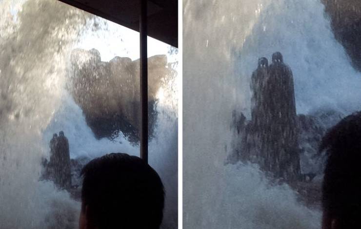“A photograph my mother took on a ride at Disney, the timing of the water and the rock formations created 2 spooky-looking figures.”