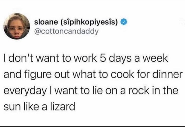 sam pepper - sloane spihkopiyesis I don't want to work 5 days a week and figure out what to cook for dinner everyday I want to lie on a rock in the sun a lizard