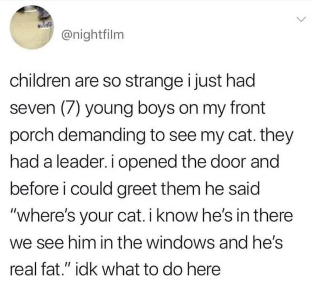 jonas brothers lyrics - children are so strange i just had seven 7 young boys on my front porch demanding to see my cat. they had a leader. i opened the door and before i could greet them he said "where's your cat. i know he's in there we see him in the w