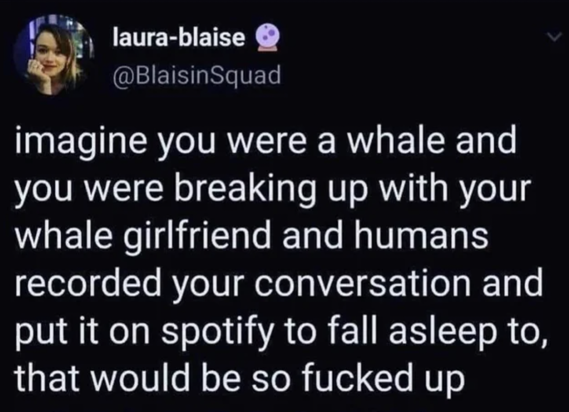 laurablaise Squad imagine you were a whale and you were breaking up with your whale girlfriend and humans recorded your conversation and put it on spotify to fall asleep to, that would be so fucked up