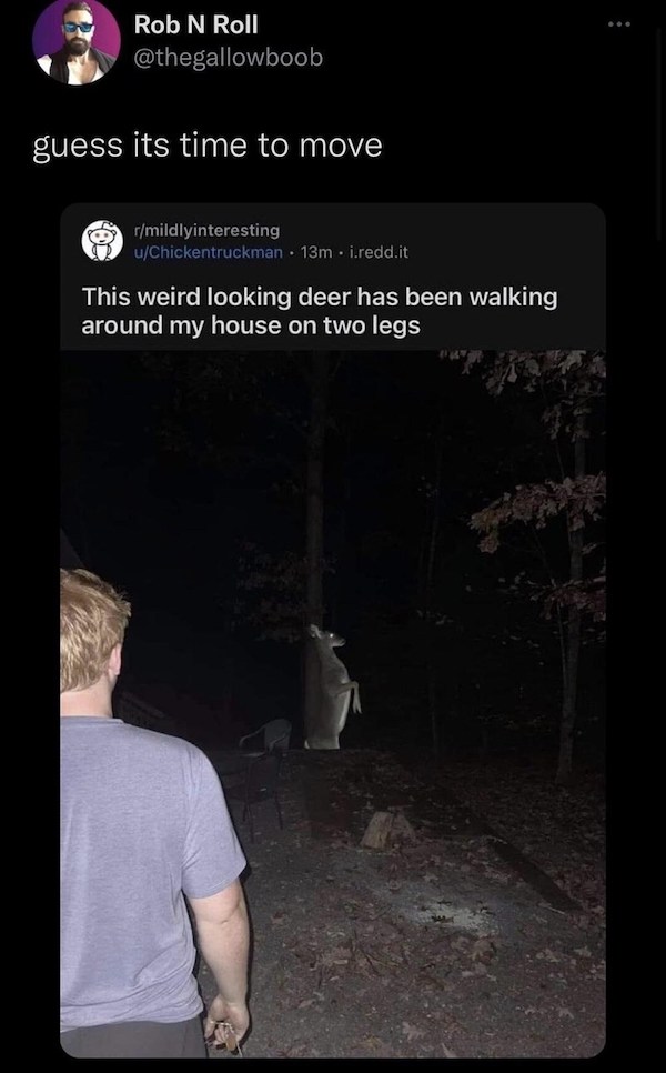 wtf pics - cursed images - darkness - Rob N Roll guess its time to move rmildlyinteresting uChickentruckman 13m. i.redd.it This weird looking deer has been walking around my house on two legs