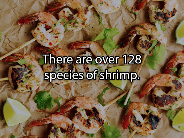 23 Fascinating Food Facts.