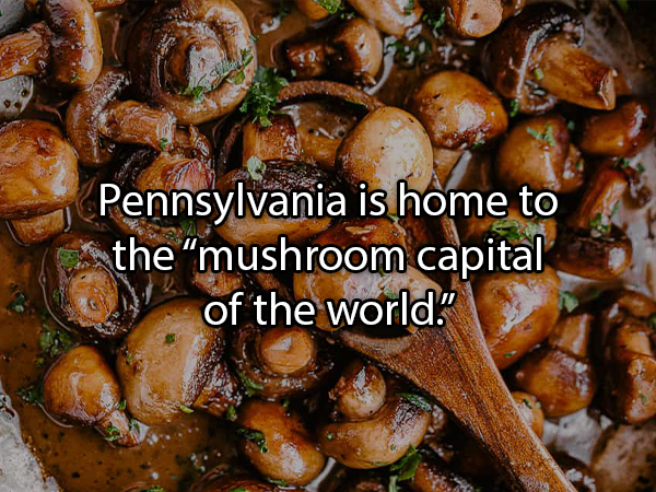 23 Fascinating Food Facts.