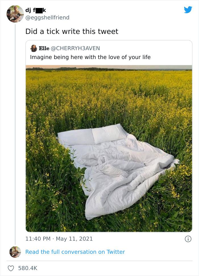 funny comments - imagine being here with the love of your life - dj fk Did a tick write this tweet Elle Imagine being here with the love of your life Read the full conversation on Twitter