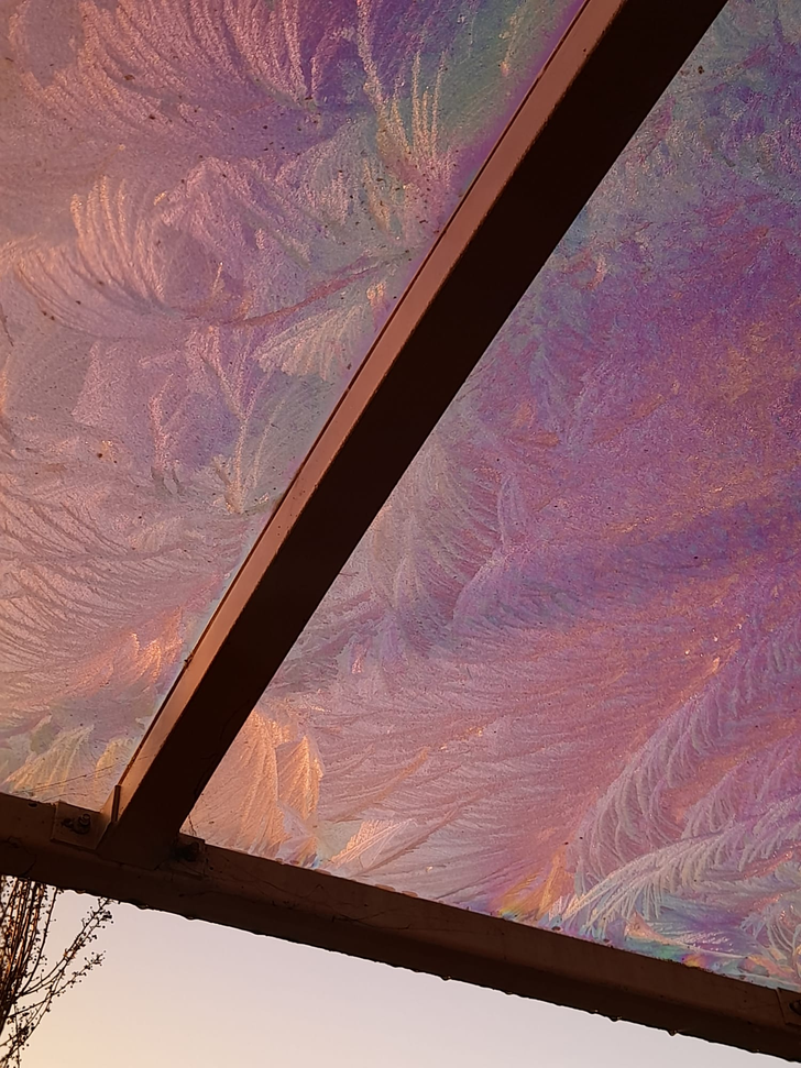 “Frost ferns and a polarized light rainbow simultaneously!”