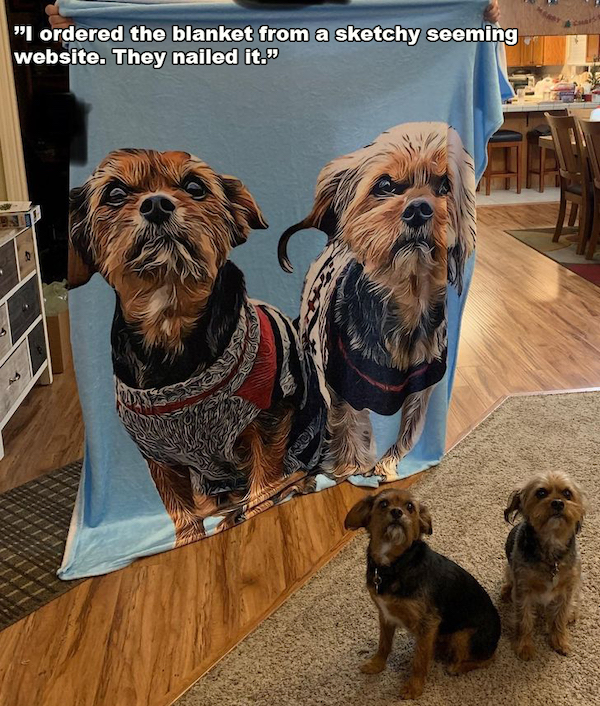 things that are impressive and cool - expectation vs reality better - "I ordered the blanket from a sketchy seeming website. They nailed it."