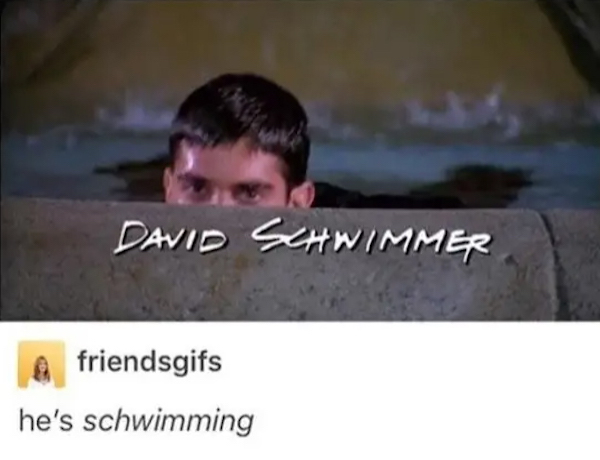 dumb jokes funny puns  - hes schwimming