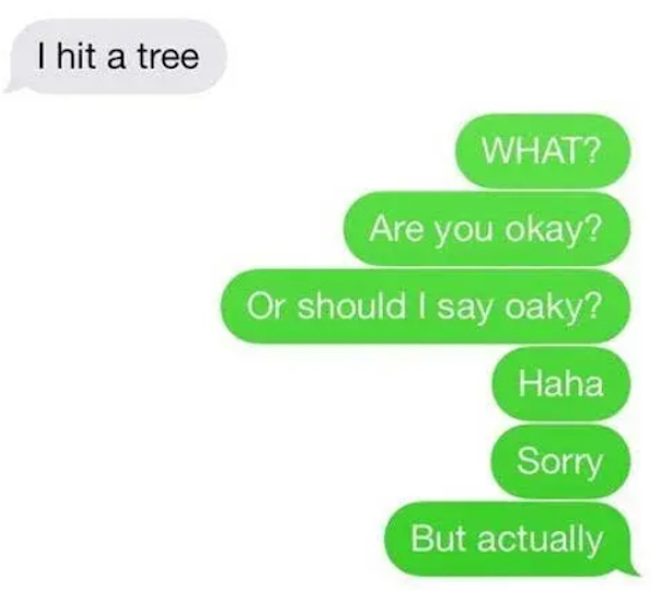 dumb jokes funny puns  - you jokes - I hit a tree What? Are you okay? Or should I say oaky? Haha Sorry But actually