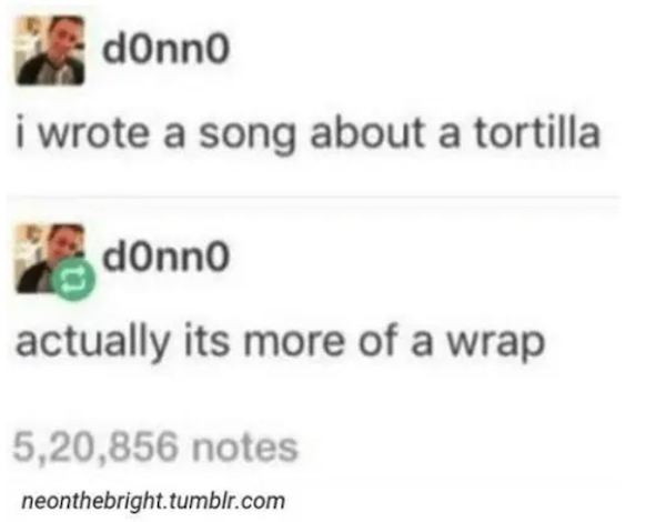dumb jokes funny puns  - hrs - donno i wrote a song about a tortilla dOnno actually its more of a wrap 5,20,856 notes neonthebright.tumblr.com