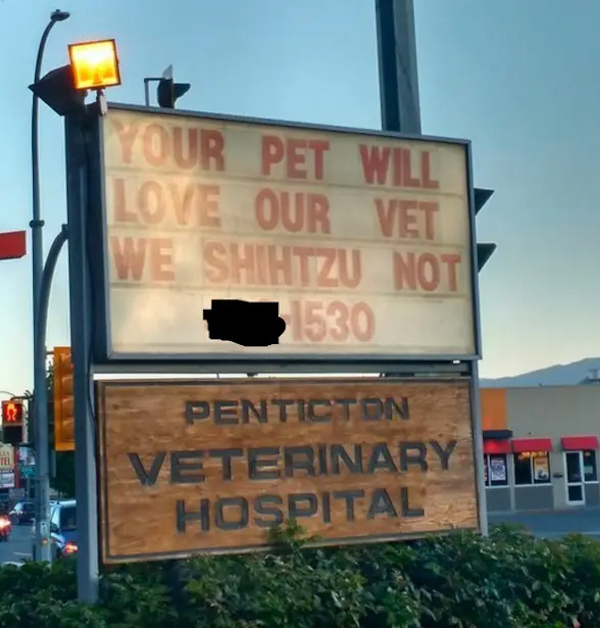 dumb jokes funny puns  - billboard - Your Pet Will Love Our Vet We Shihtzu Not 21530 Tel Penticton Veterinary Hospital