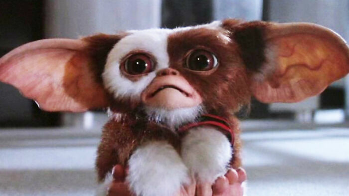 the movie Gremlins was so intense that it was responsible for the movie rating of PG-13.