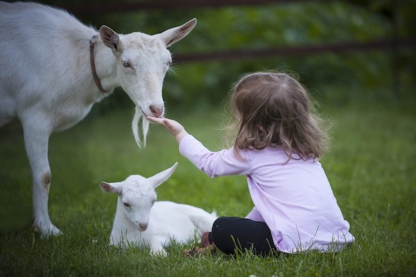 girl with goat