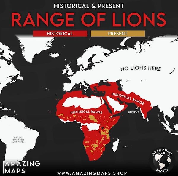 charts and maps - european trophy - Historical & Present Range Of Lions Historical Present No Lions Here Historical Range m Historical Range Present Why Did You Even Look Here Amazing Imaps Maps