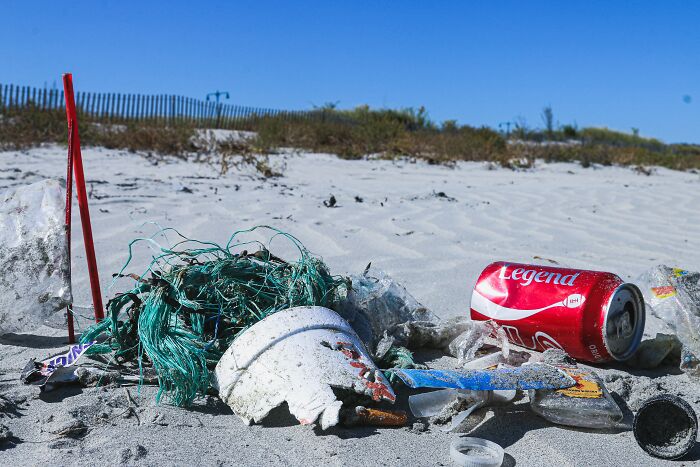 Littering. It hurts to watch, I don't see how people can litter.