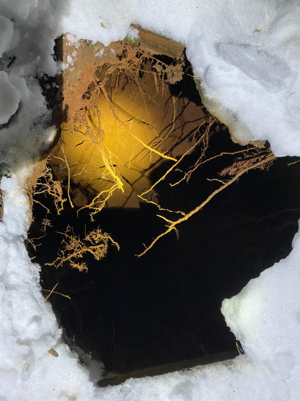 “Welp, I almost fell into a sinkhole under my porch. I caught myself on the edge of the hole, from my chest down was just dangling beneath me. Below the opening the hole is about 10’ wide and 15’ deep.”