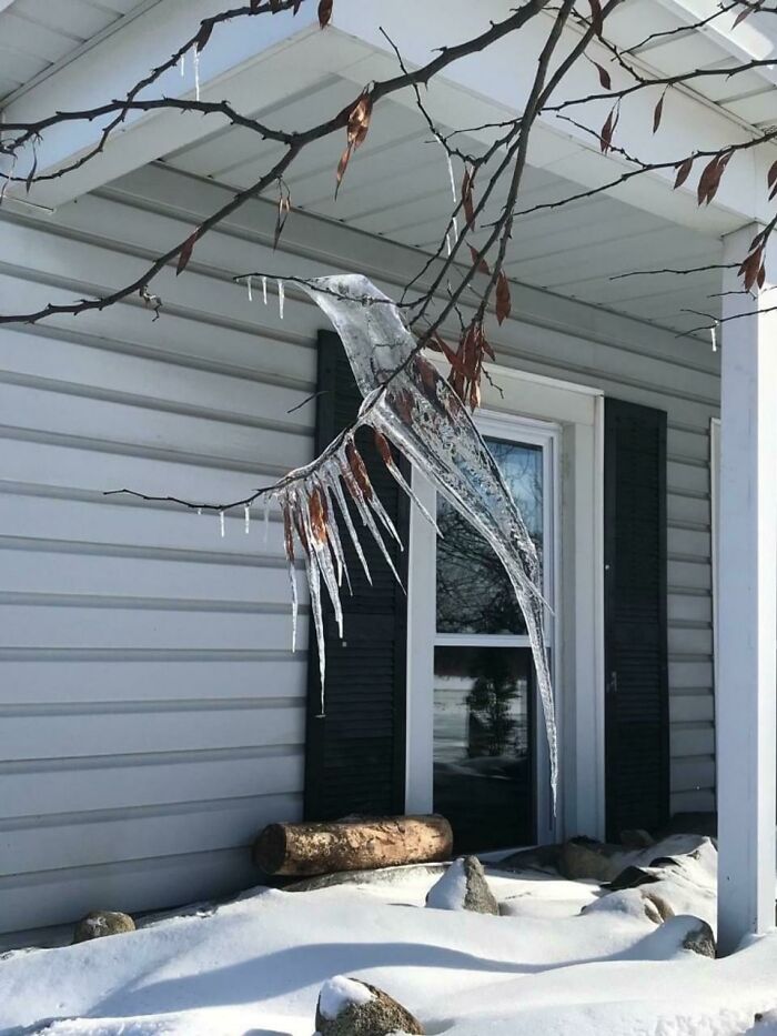 Freeze. Defrost. Refreeze. Thaw. Freeze Creates An Ice Hummingbird