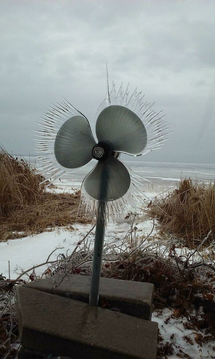 When Wind Meets Freezing Rain