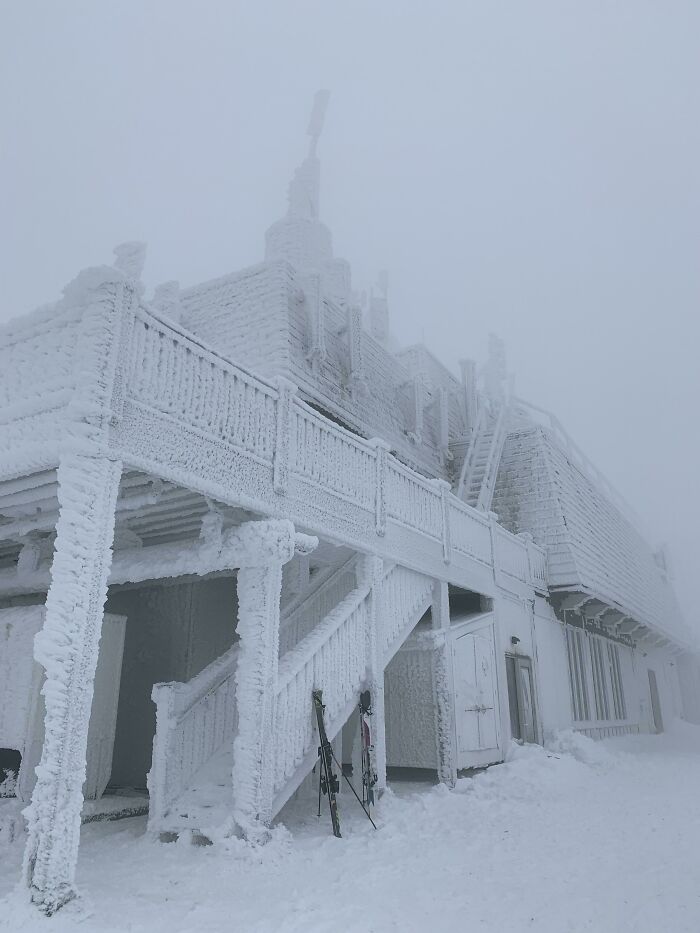 This Is Canada. Saw This While Skiing. It Was A Little Cold