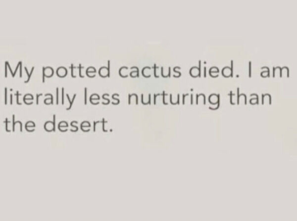 hilarious pics of oh shit moments - ibc - My potted cactus died. I am literally less nurturing than the desert.