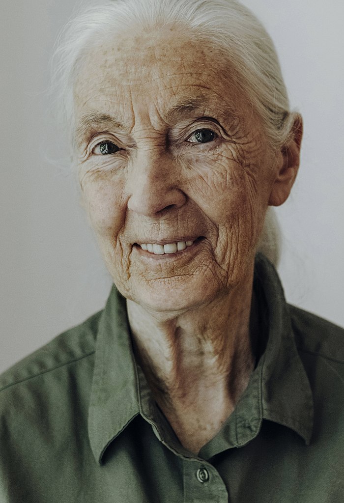 My friend TRULY believes to his core, that Jane Goodall passed away 15-20 years ago