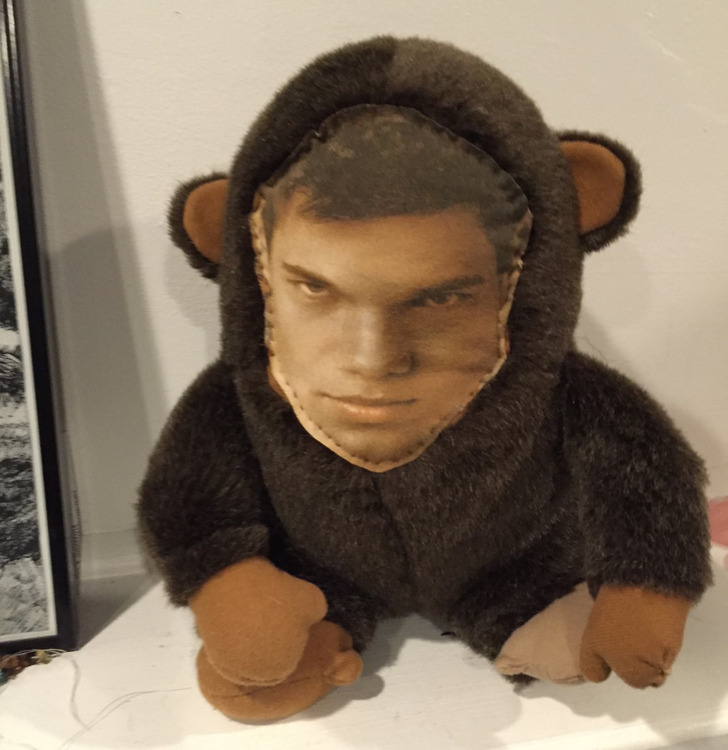 “My sister’s neighbor wore the face off her monkey so she fixed it with an old tee shirt.”